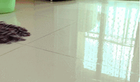 苏州地面瓷砖防滑.gif